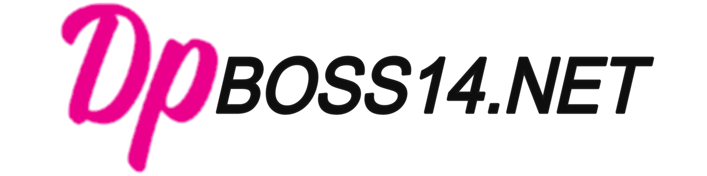 logo of dpboss14.net